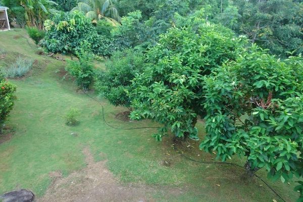 Lemongrass Lodge (Beau Vallon)